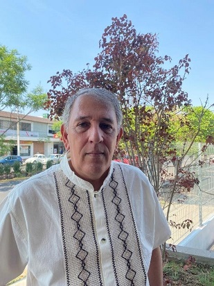 Imagen que contiene árbol